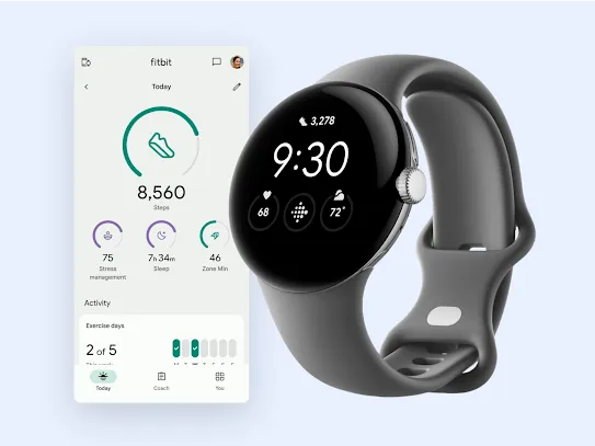 Pixel and Fitbit wearables