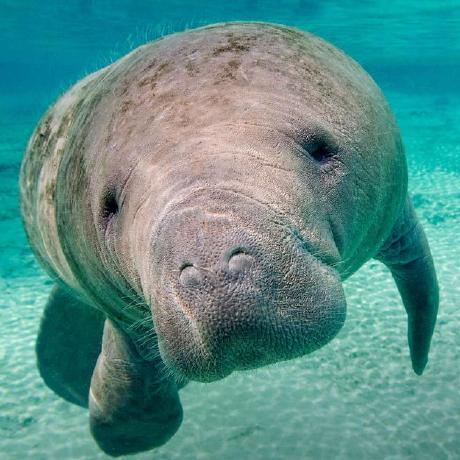 View TomPradat's full-sized avatar