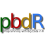 @RBigData