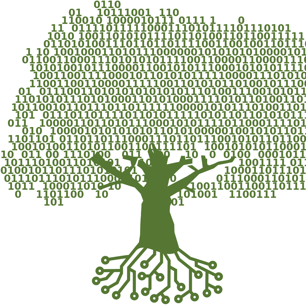 Binary Tree Animation